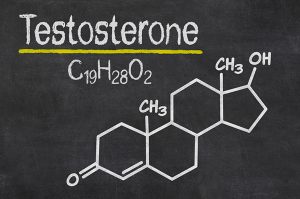 Testosterone for muscle growth