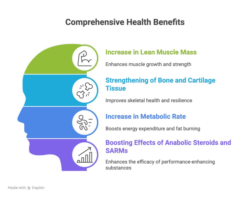 Ostarine and its main benefits