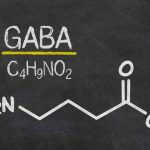 GABA for HGH - Does GABA Supplement Increase Growth Hormone?