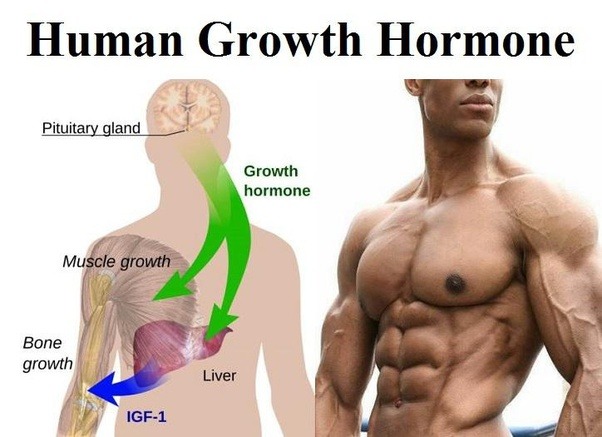 Benefits of HGH