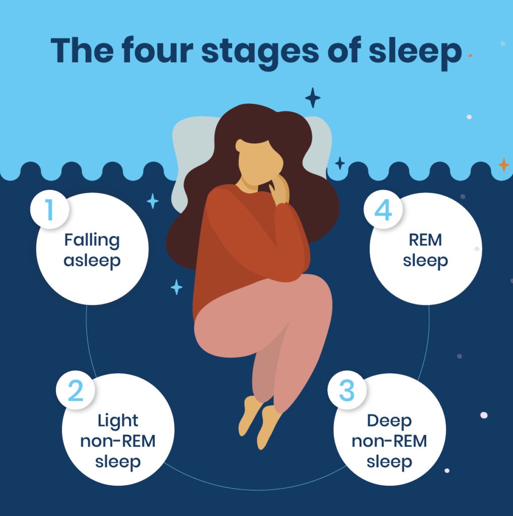 Stages Of Rem Sleep