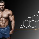 Are SARMs safe to use?