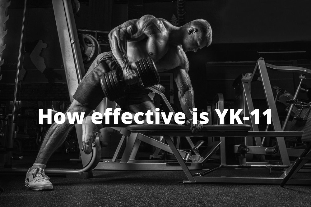 YK-11 benefits for bodybuilding