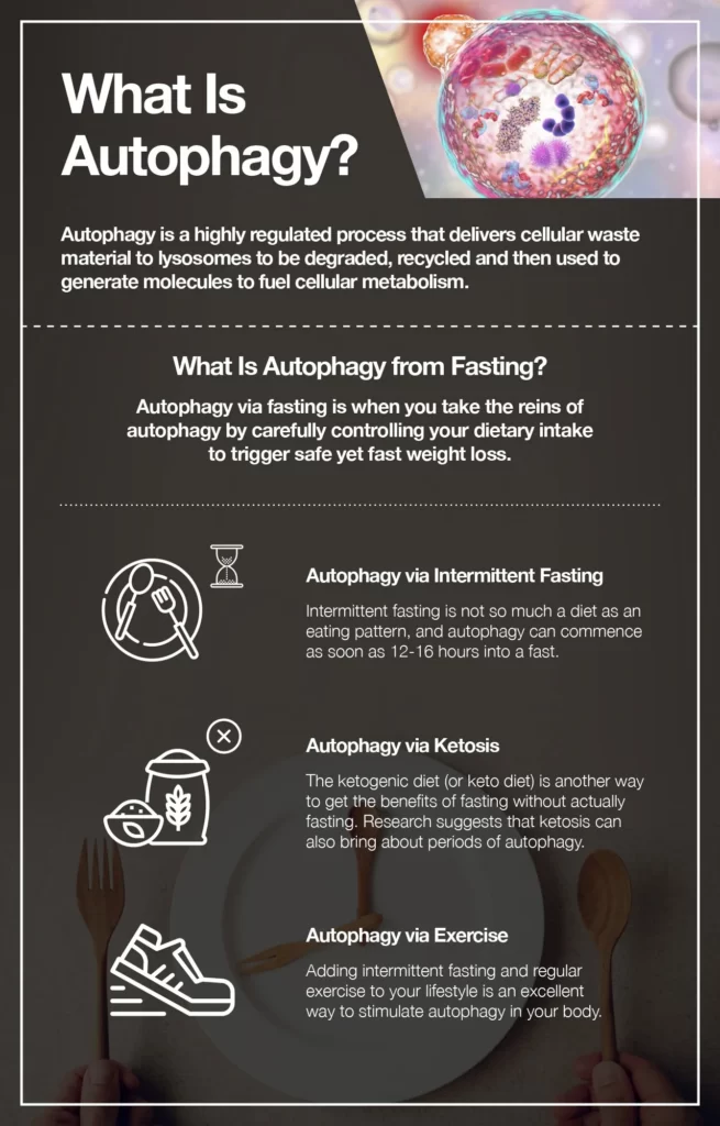Benefits of Autophagy for HGH